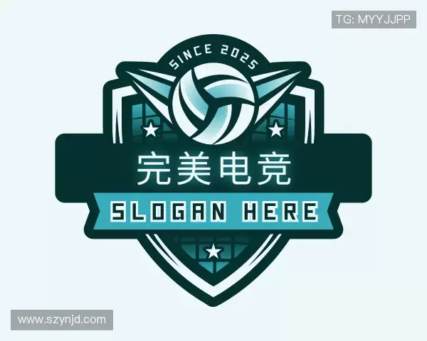 解读完美电竞